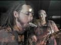 live at the rain desert