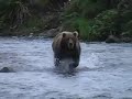 photography at camp island kodiak alaska