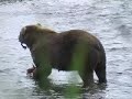 photography at camp island kodiak alaska