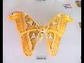 Una visita por el Museo de Ciencias Naturales de La Plata. Tiene un importante acervo antropológico y arqueoplógico que lo ubican entre los primeros cuatro del mundo.