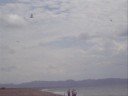 ALMERIA - OLAS, VIENTO Y GAVIOTAS