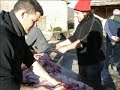 Ha estat ben gras 2008
