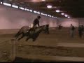 Horseback Riding Lesson