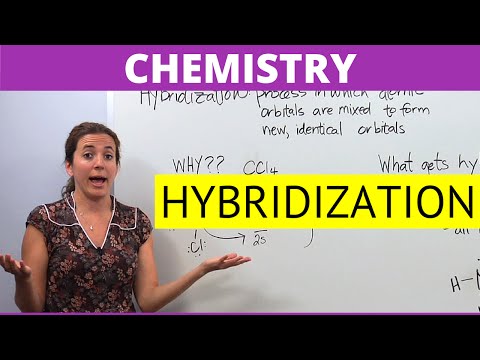 how to determine hybrid orbitals