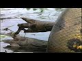 anaconda vs capybara extends