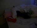camera vids 003.MOV