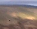 Wowings Booby and Skua