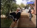 parkour demnate parkour demnate