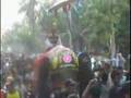 cah ponorogo
