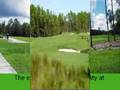 Olde Cypress Naples Florida Real Estate and Homes for Sale