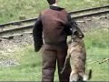 \"Ajax\" opleiding PH1 - 1Year old