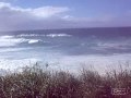 Twenty Foot Waves at Hookipa, Maui