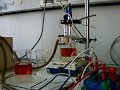 belousov zhabontinsky reaction