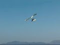 BRio Flying Boat in Brazil  - Part 1