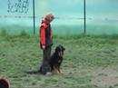 Ari cvi?� poslu?nost