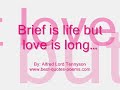 Famous Valentine Day Quotes & Sayings