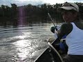 Nelma is catching a catfish redtail around Barcelos