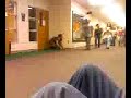 Fryan Scares a Bish