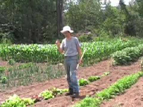 garden video - Overview of our gardening DVD on turning your backyard into a your own organic produce department, step-by-step from soil prep, planting, pest control, harve...