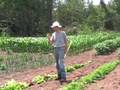 Easy Vegetable Gardening