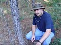 Tips on hunting wild hogs