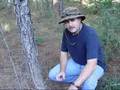 Tips on hunting wild hogs