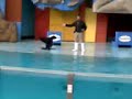 Aquarium Aquarium