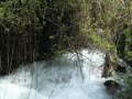 Banias (2)