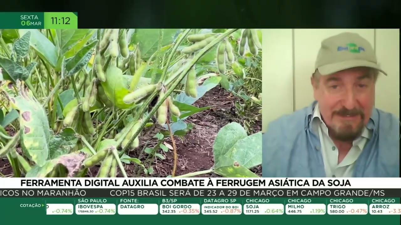 Ferramenta digital auxilia combate à ferrugem asiática da soja