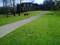 House For Sale at 2489 Lake Shore Dr. Spring Hill, TN 37174