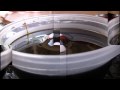 Egg Drop Science Project