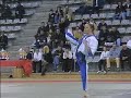 Tae Kwon Do
