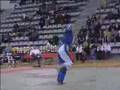 Tae Kwon Do