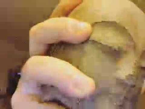 See video