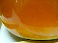 Apfelwein Yeast Dance Apfelwein Yeast Dance
