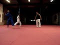 Vovinam Den Bosch Vovinam Den Bosch