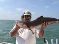 Gulf Fishing