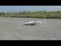 World Biggest Model RC Plane ANTONOV 225 TEST FLY