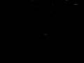 el negro marcha atras