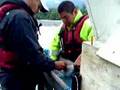 Nisga'a Fisheries Salmon Tagging
