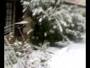 Caravaggio neve Serenissima street Caravaggio neve Serenissima street