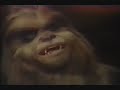 Little Chewie