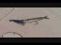 Better Bait Systems:A complete bait rigging system for ballyhoo, flying fish, mullet, and squid.