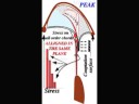 CHORDAL STRESS DISTRIBUTION IN A-V VALVES