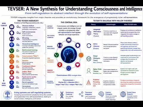 "Theory of Evolving Self-representations (TEVSER)" by Igor Pivovarov