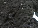 vermicompost finished
