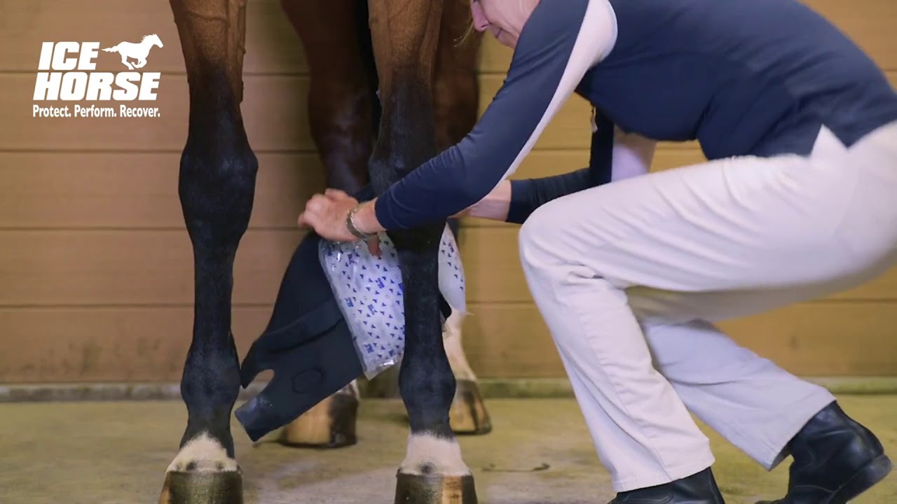 12 Days of Giveaways, Day 2 Win Full Tendon/Suspensory Wraps from Ice