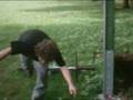 videos de X-Treme in die Hecke fahring