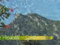 videos de Olio e Olive 2008 - Spot
