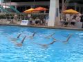 US Masters Nationals Synchronized Swimming 2009 Tsunami Tsynchro Team 40-49 Tech